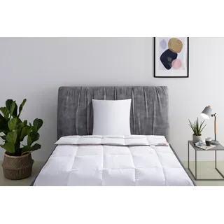 RIBECO Daunenbettdecke + Kopfkissen »Richard, Bettwaren-Set in 135x200 oder 155x220 cm, Sommer oder Winter« Seit 105 Jahren überzeugt RIBECO durch Qualität weiß