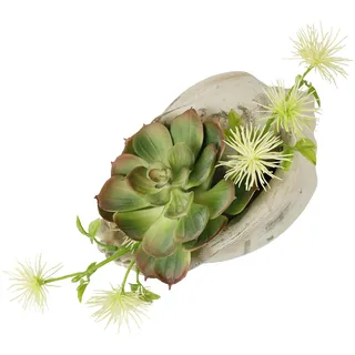 Flair Flower Künstliches Arrangement Sukkulenten Agave Aloe Vera Yucca Sanseveria Pflanze Kakteen Kunstmoos Kaktus Grünpflanze Zimmerpflanze Tischpflanze Kunstpflanze Kunstblume in Muschelschale