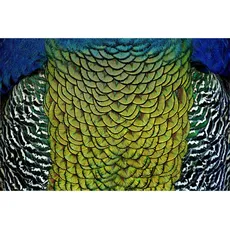 XXXLutz ALUMINIUMBILD Multicolor - 148x98 cm