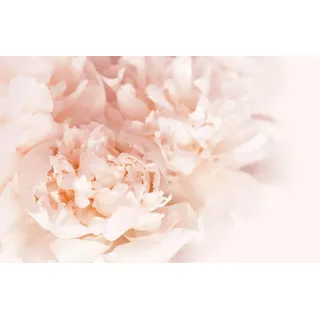 Heizkörperverkleidung Heizkörperabdeckung Magnetmatte Dekoration 60x100