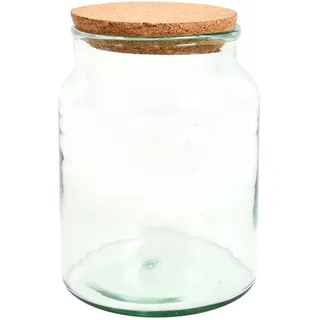 Halboffene Terrarium Flasche Glas 5L Pflanzen Deko Gewächs Haus Blumen Kork Haus