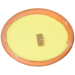 VIGOR Ceri Citronella Vase Terracotta, 14 x 4 cm