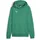 Puma Teamgoal Casuals Hoodie Sport Green/Puma White L