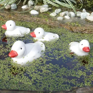 Storm's Gartenzaubereien Keramik Entenfamilie - Schwimmdeko für Teich u. Garten - Elegante Dekoration weiß - Tierdeko für Miniteiche - Balkonteiche - Gartendeko Tierfiguren