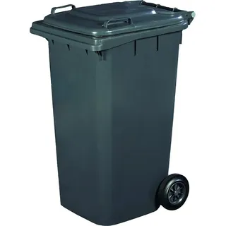 Bin Müll Differenzierte Grau mit Deckel 240 L