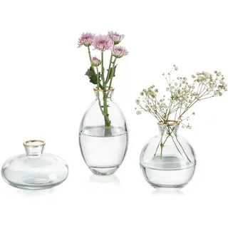 Glasseam Kleine Vasen für Tischdeko Handmade, 3er Goldrand Mini Vase Glas | Verschiedene Groessen, Blumenvase Modern, Hydroponic Glasvasen Set, Hochzeit Tisch, Wohnzimmer, Badezimmer, Couchtisch