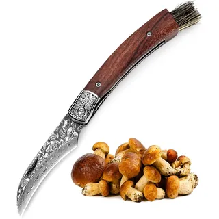 DRACHENADER Pilzmesser mit Bürste/Pinsel (integriert), Schwammerlmesser aus 67 Lagen Vg10 Damaststahl, Handgeschmiedet, §42a konform, Mushroom Knife (Liner Lock), Zwihandmesser für Camping