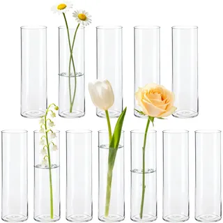 BTSD-home 12 Stück Zylinder Glasvase Set als Kleine Vasen für Tischdeko Vasen Klein Tischdeko Für Hochzeitsdeko Wohnzimmer Deko Party Deko Festtagsgeschenke