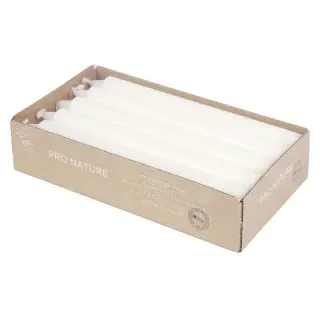 Müller Kerzen Stearin Kronkerze PRO NATURE, weiß, Nachhatige Tafelkerzen aus 100% Stearin, 1 Packung = 10 Stück, 22 x 200 mm (Ø x H)
