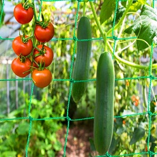 Ranknetz Rankhilfe Pflanzennetz 0.9x1.8M,Stütznetz Gartennetz für Kletterpflanzen,Premium Ranknetz mit großer Maschenweite,rankhilfe Netz,Pflanzennetz,Stütznetz Gartennetz,pflanzennetz grün