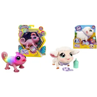 Little Live Pets Chamäleon Nova, leuchtendes, interaktives Chamäleon & Schäfchen Snowie: Interaktives Spielzeug-Lamm mit weichem Stofffell