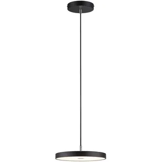Paulmann Hildor 1-flg. 31 cm schwarz