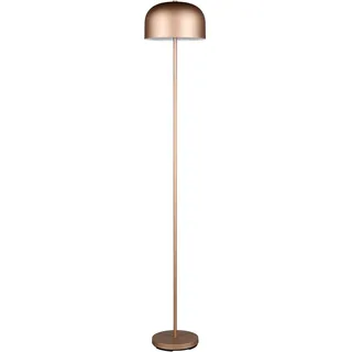 Trio Jeff R49151165 Braun