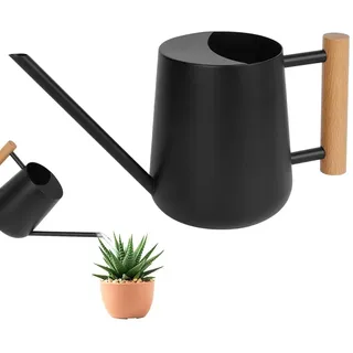 OFFCUP Edelstahlgießkanne, 1 l, kleine Gießkanne für Pflanzen, Zimmerpflanzen, mit langem Ausgießer, für Haus, Bonsai(schwarz)