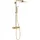 Euphoria SmartControl System 310 Duo Duschsystem mit Thermostatbatterie Gold 26507GN0