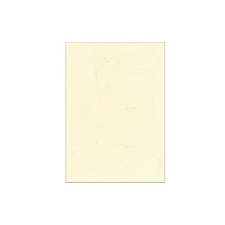 RNK-Verlag Motivpapier Elefantenhaut chamois DIN A3 190 g/qm 10 Blatt