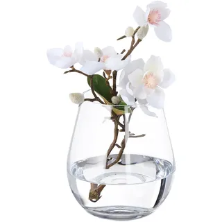 Relaxdays Blumenvase, Glasvase für Blumen, Tischvase aus Klarglas, hohe Tulpenvase, Maße H x D: 16 x 14 cm, transparent