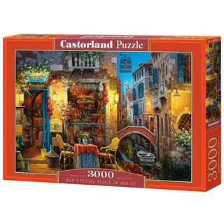 Castorland Our special place in Venice 3000 pcs, 3000 Teile)