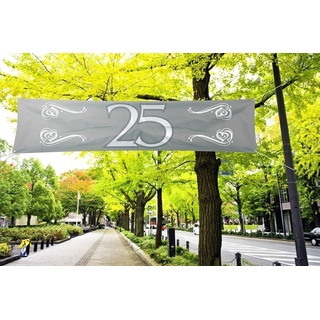 Folat 21482 25th Birthday/Anniversary Silver-180x40 cm Banner zum 25. Geburtstag/Jahrestag, silberfarben, 180 x 40 cm, Silber