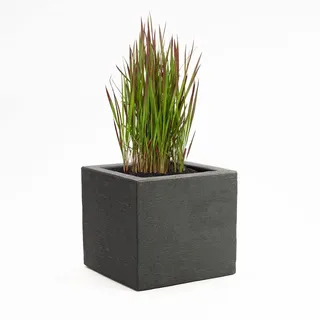 Pflanzwerk® Pflanzkübel Cube Anthrazit Kunststoff 34x40x40cm zum BESTPREIS *Größe auswählbar *Frostbeständiger Blumenkübel* *UV-Schutz* *Qualitätsware*