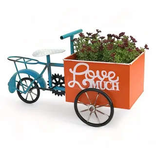 DanDiBo Blumenfahrrad für Garten Metall Stehend Blau Orange , 46x24.5x21 cm , Dekoration, Blumen & Blumentöpfe, Übertöpfe