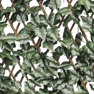 VERDELOOK Sempreverde® ausziehbares Rankgitter aus Weide, 1 x 2 m, Efeublätter, Gartendekoration