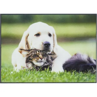 Andiamo Fußmatte Modern Schmutzfangmatte mit rutschhemmender Rückseite - Fußmatte außen für den Hauseingang - Fußabtreter Türmatte 40 x 60 cm Hund & Katze