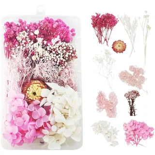 Natürliche getrocknete Blumen für DIY-Kerzen, Nägel und Scrapbooking (Rosa) | Getrocknete Blumen, Epoxidharz, getrocknete Blumen für Kerzen, DIY, Kerze, Nägel, Handwerk, Scrapbooking, Blumendekoration