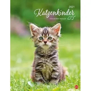 Katzenkinder Posterkalender von Monika Wegler - niedlicher Wandkalender 2021 mit vielen Fotos und lustigen Mini-Geschichten - mit Monatskalendarium - Format 34 x 44 cm
