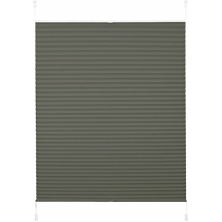 Plissee OTTO HOME "CASUL" Gr. 14, grau (dunkelgrau), B:70cm H:210cm, Obermaterial: 100% Polyester, Plissees, Plissee, Wabenplissee, Klemmfix, Verdunkelung - NEUHEIT Für Fenster & Tür, Topseller