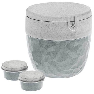 Koziol Bentobox L Speisegefäß organic concrete grey (3198672)