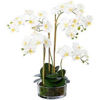 Creativ green Deko-Orchidee im Glas, 50 cm weiß