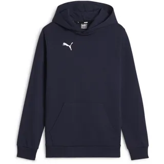 Puma Casuals Blue 164