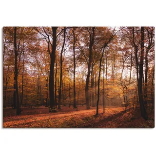 ARTland Wandbild »Sonnenaufgang im Herbst II«, Wald, (1 St.), als Alubild, Outdoorbild, Leinwandbild, Poster, Wandaufkleber, braun