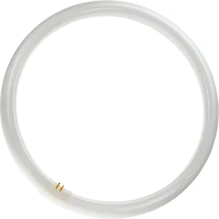 Philips Master TL-E Circular 40W/830 G10q warmweiß 3000K