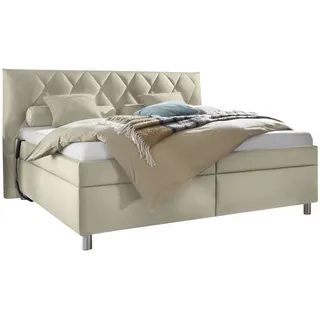 Esposa Polsterbett , Ecru , Textil , Birke , Schichtholz , H2 , Höhe ca. 16 cm , 200x200 cm , Über- und Sondergrößen erhältlich, Bezug abnehmbar/waschbar, Ober- und Unterseite versteppt, wendbar, atmungsaktiv,Über- und Sondergrößen erhältlich, Lattenrost, Matratze, gepolstertes Kopfteil, Stoffauswahl, in verschiedenen Größen erhältlich,Federholzleisten verleimt, Federleisten mit Duokappen, verstellbar, Motorverstellung , Schlafzimmer, Betten, Polsterbetten