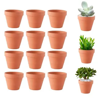 Molyorch 12 Stücke Terrakotta Sukkulenten Töpfe, Ton Töpfe, Wiederwendbar Terrakotta Blumentoepfe, für Innen und Außenbereiche für Pflanzen Handwerk Hochzeit Gunsten