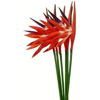 Rikyo Künstliche Blumen, Paradiesvogel, 58,4 cm, permanente Blume, Strelitzia, Tropische Kunstpflanze, Blumensträuße für Büro, Zuhause, Party-Dekorationen, Arrangement, Topfpflanzen (orange)