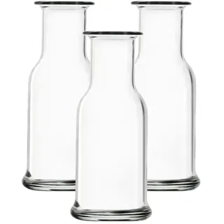 Stölzle »Karaffen Purity 250 ml 3er Set transparent«, farblos