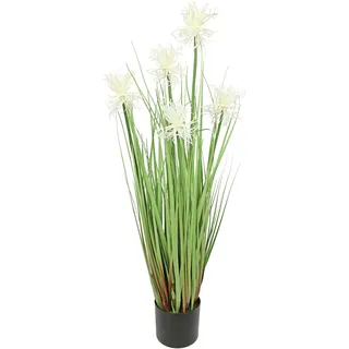 Flair Flower Protea im Grasbusch im Topf Nadelkissen Busch Ufergras Dekogras Gras Kunstgras künstliche Pflanzen Kunstpflanze Grünpflanze Solitärgras Dekopflanze, Weiß, 68 cm, 020906W