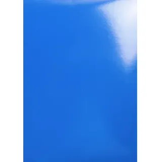 Exacompta 2982C 100er Pack Einbanddeckel DIN A4 für Bindesysteme Forever aus Glanz-Karton blau. Geeignet zur Verwendung mit Serodo-Bindern, Kunststoffringen, Metallringen und mehr