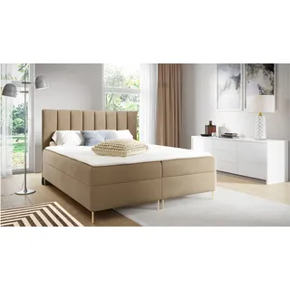 GUTTO Bett -- NINE -- Boxspringbett KARAMELL 90x200 Bett mit Bettkasten und eingebauter Matratze + Topper Beige Velour Samtstoff Velvett goldene Beine - Beige
