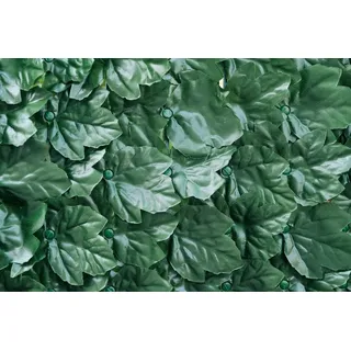 Immergrüne Verdecor-Hecke, Extra, mit künstlichen Efeublättern