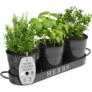 Barnyard Designs Indoor Kräutergarten Pflanzgefäß Set mit Tablett, Metall Fensterbank Pflanztöpfe mit Drainage für Außen- oder Zimmerpflanzen, Schwarz, Set/3