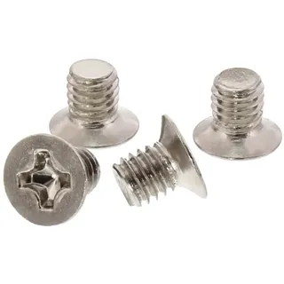 InLine 100er Pack Schraubenset, für 2,5" Festplatte / SSD, 3mm, flacher Senkkopf, silber
