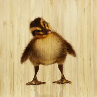 Babywanddeko , Multicolor , Holz , Birke , 30x30x3 cm , Babymöbel & Kindermöbel, Babyzimmer, Kinderzimmer Deko