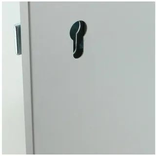 BASI Schlüsselkasten SS 100 PZ 2171-0100 100 Haken Grau