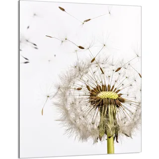 Herdabdeckplatte 40x52 Glaskeramikkochfeld Abdeckung Spritzschutz Glasplatte Deko Schneidebrett, Löwenzahn Weiß