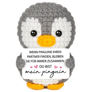 Gleevara Jahrestag Geschenk für Ihn Sie, Pinguin Ich Liebe Dich Geschenk | Valentinstagsgeschenk, Geschenk für Freundin Freund, Pocket Hug Pinguin, Partner Geschenke, Hochzeitstaggeschenke