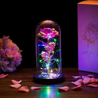 Glasseam Die Schöne Und Das Biest Rose In Glaskuppel LED-Lichter Kristallrose Blumen Geschenk Zum Geburtstag Jubiläum Valentinstag Hochzeit Freundin Frau Frauen